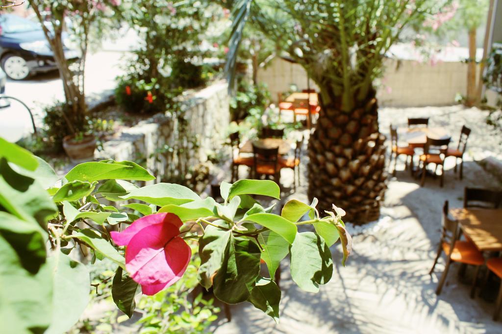 Bed & Breakfast Albergo Cesme 3*